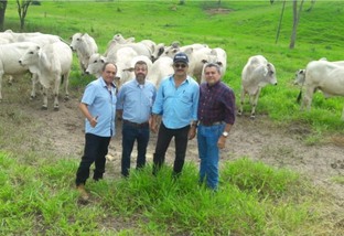 "Nós temos a melhor carne do mundo", afirma pecuarista de fazenda modelo na Bahia