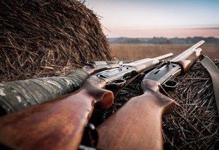 Quais as novas regras para a posse de arma para proprietários rurais?
