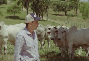 “Precisa de paixão”, diz produtor da Bahia sobre sucesso na pecuária