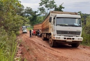Boiadeiros superam desafios das chuvas para concluir embarque de gado em Rondônia