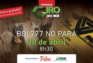 Webinar vai tratar dos desafios de recria e terminação do Boi 777 no Pará