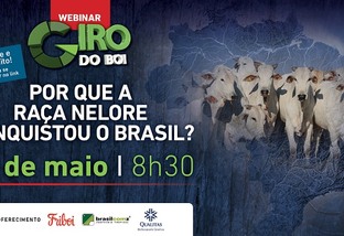 7º Webinar Giro do Boi - Por que a raça Nelore conquistou o Brasil?