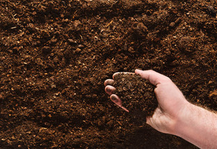 Hand planting seeds on a natural soil background. Closeup image.