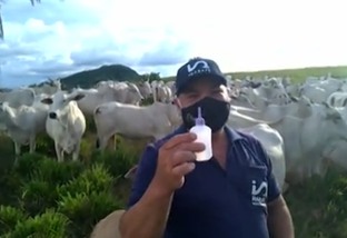 Força da pecuária vai impulsionar Brasil para fora da crise, projeta agrônomo