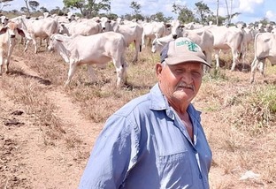 Pecuarista trocou o leite pelo corte e hoje, aos 71, virou referência em Rondônia