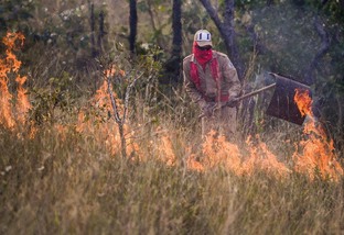 Veja dicas para prevenir incêndio na fazenda e evitar denúncia por crime ambiental