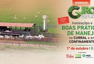 Giro do Boi começa outubro com webinar sobre instalações e boas práticas no curral e confinamento