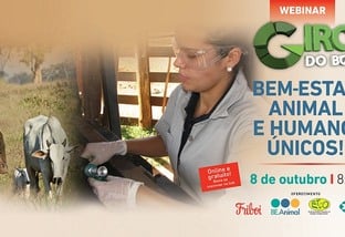18º Webinar Giro do Boi - Bem-estar animal e humano, únicos!