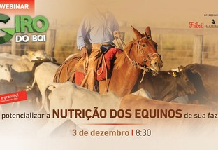 21º Webinar Giro do Boi - Como potencializar a nutrição dos equinos de sua fazenda?