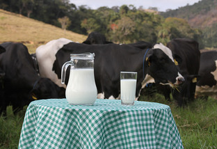 Como o leite passou a integrar a dieta humana e qual sua importância nutricional?