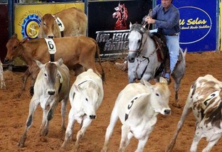 Começa uma das maiores provas equestres do Brasil em Barretos-SP