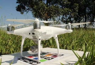 Boi gordo e high-tech! Drone poderá até salgar o cocho no pasto, prevê cientista