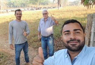 Agricultor familiar avança na produção de boi gordo em Rondônia