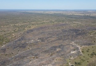 Brigada evita queimada de área de 1,5 mil hectares em Mato Grosso