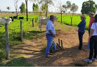 Pecuarista dá a receita de produzir 660 arrobas de boi por hectare em Rondônia