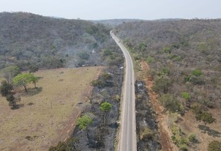 Pantanal a salvo! Brigada de incêndio já combateu 50 incêndios este ano na região