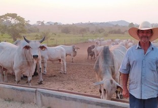 Pecuarista amplia desfrute e lucra mais com gado confinado em RO