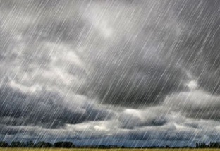 Chuvas se espalham em áreas de pecuária por todo o País. Saiba onde