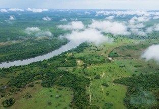 Água Viva: fazenda é campeã por aliar boi a pasto, lavoura e áreas de preservação