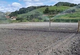 Irrigação em pasto rotacionado: saiba o tempo de rega ideal por piquete
