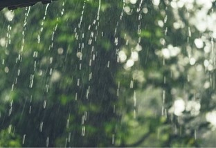 Nível de chuvas: saiba onde cai mais água em áreas de pasto no País 