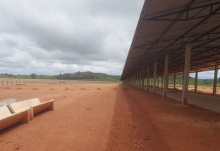 “Eu acredito no mercado”, diz pecuarista de Rondônia ao investir alto em confinamento