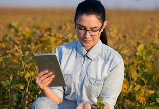 Olhar Feminino no Agro: seis dicas de sucesso para tomar as rédeas da fazenda