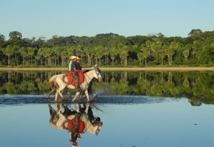 Nova Lei do Pantanal prevê uso racional da água e revisão do CAR. Entenda