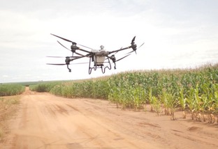 Pasto já é semeado por drone num dos maiores confinamentos de gado da América Latina