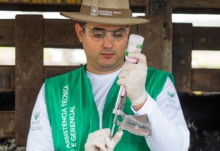 Brasil avança para se tornar território livre de febre aftosa sem vacinação até 2026