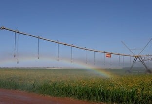 Governo de São Paulo anuncia programa para fortalecer irrigação na agropecuária