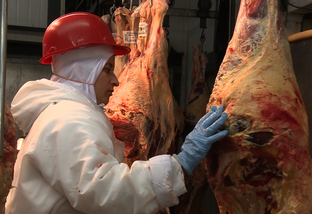 Professor da Unicamp reafirma qualidade da carne brasileira