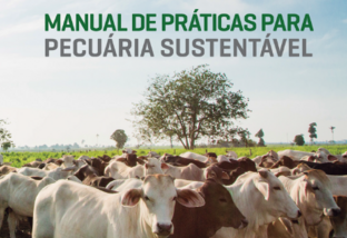 Práticas de Sustentabilidade: manual traz exemplos para pecuária de corte