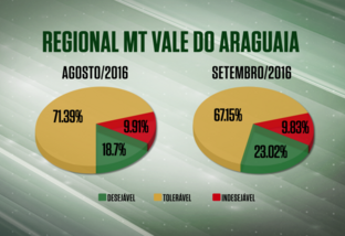 Farol verde cresce quase 5% na regional MT/Vale do Araguaia