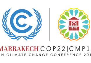Fernando Sampaio conta as novidades da COP 22