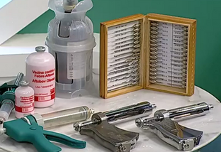 Detalhe de seringas e pistolas para vacinação de bovinos. Foto: Divulgação