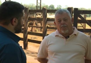 Professor da USP dá dicas para quem quer começar a investir na pecuária