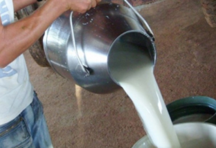 balde de leite