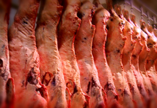 Exportações de carne bovina podem faturar até US$ 7 bi em 2018 com aumento de demanda chinesa