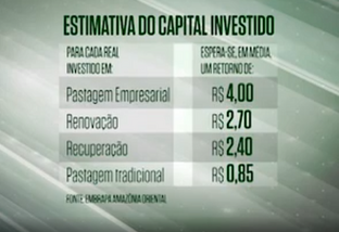 Pecuarista tem retorno de até R$ 4 para cada real investido em pastagem profissional