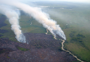 Queimadas no Pantanal do MS já se alastram por mais de 120 mil hectares