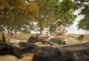 Tem vagas de vaqueiro ou de caseiro em fazendas pelo Brasil? 