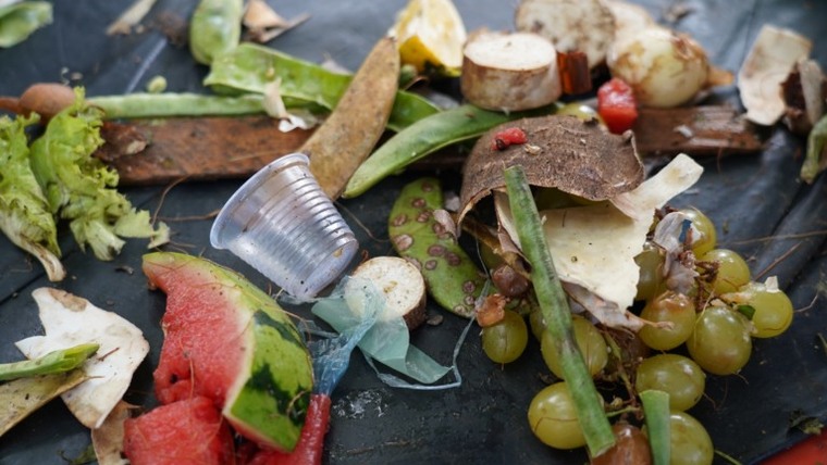 Mais de 1 bilhão de refeições por dia vão parar no lixo. Saiba como é possível conter isso