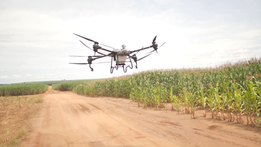 Pasto já é semeado por drone num dos maiores confinamentos de gado da América Latina