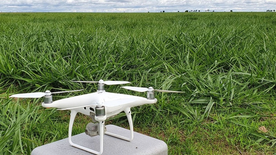 Pastagem: drones garantem precisão de 66% no monitoramento, afirma pesquisadora