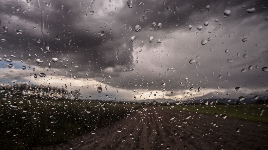 Intervalos de chuva ampliam desafios para pecuaristas no centro-norte do Brasil