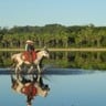 Nova Lei do Pantanal prevê uso racional da água e revisão do CAR. Entenda