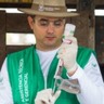 Brasil avança para se tornar território livre de febre aftosa sem vacinação até 2026