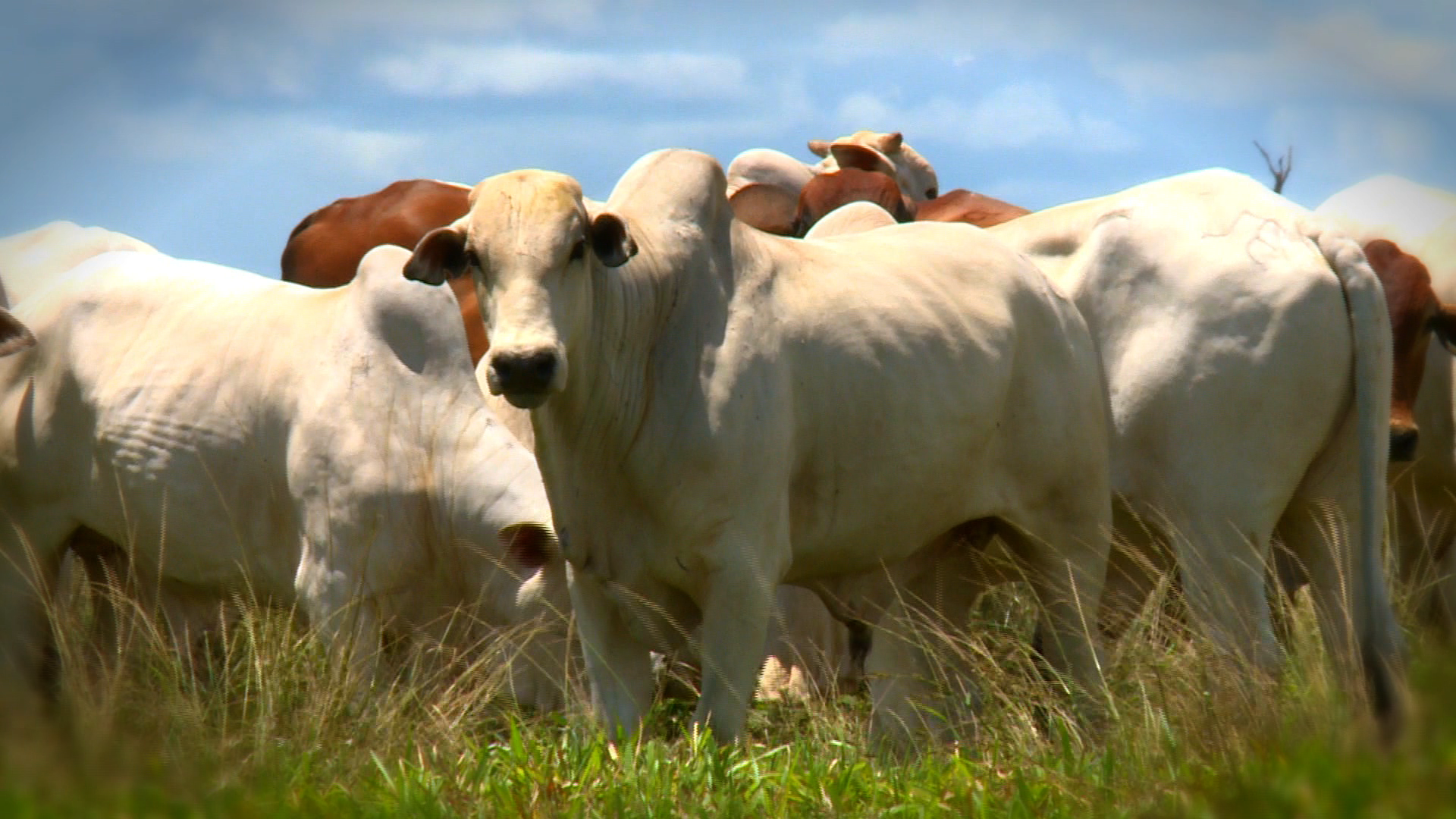 Goiânia debate gestão de pessoas no agro