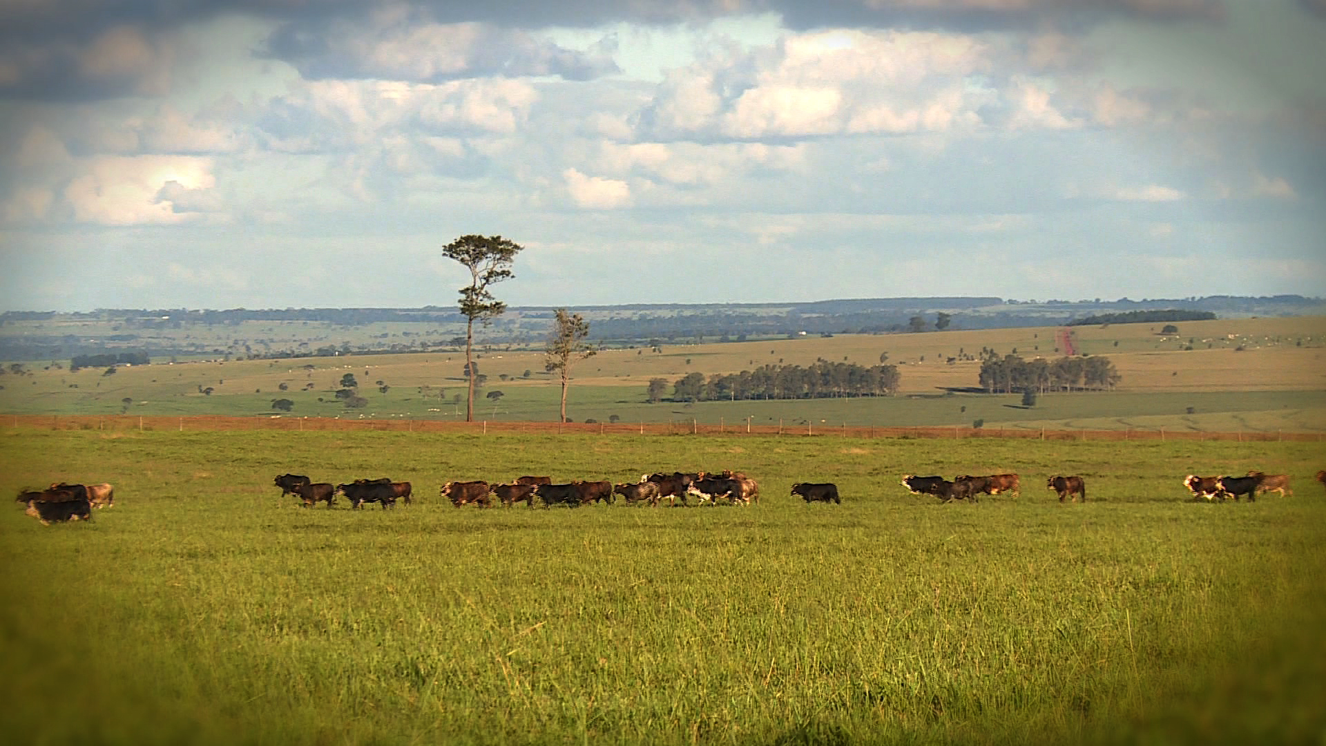 Confira como fazenda  reduziu farol vermelho de 50 para 10%